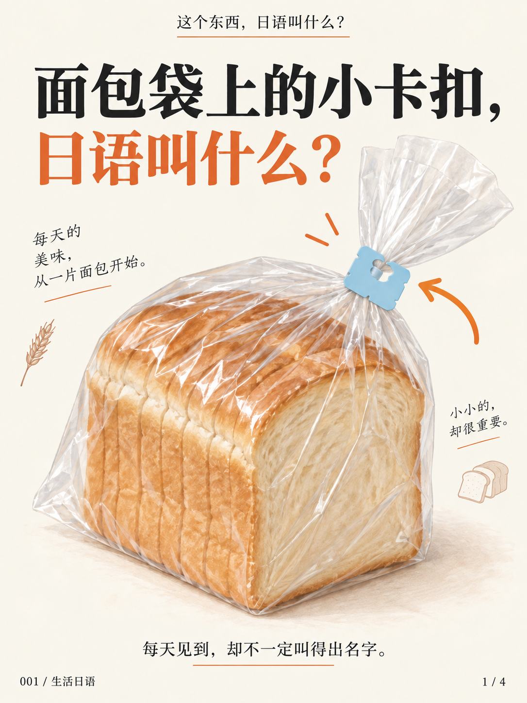 面包袋上的小卡扣 · 先认一认