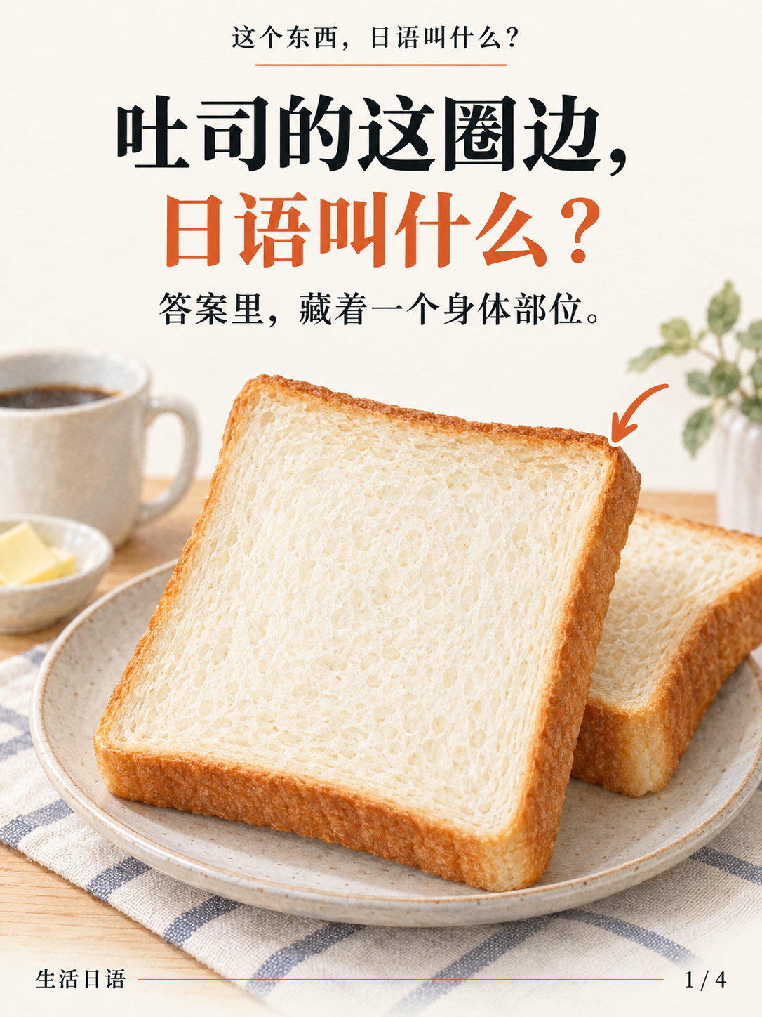 吐司周围的面包边 · 先认一认
