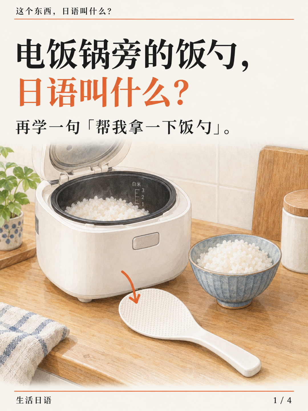 电饭锅旁的饭勺 · 先认一认