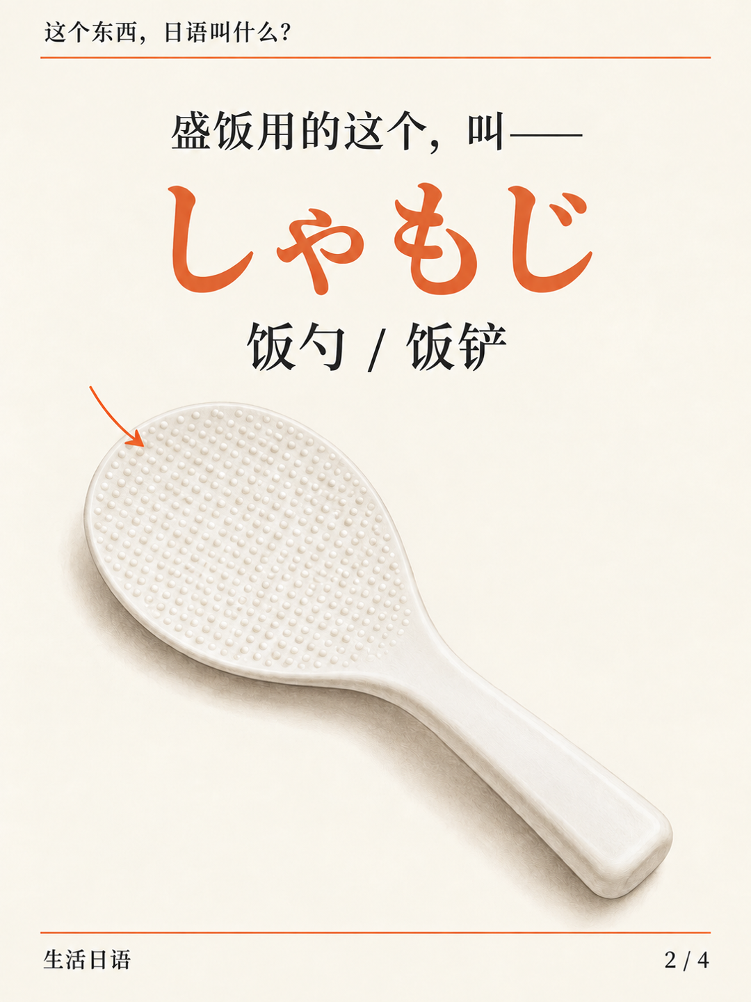 电饭锅旁的饭勺 · 它的名字