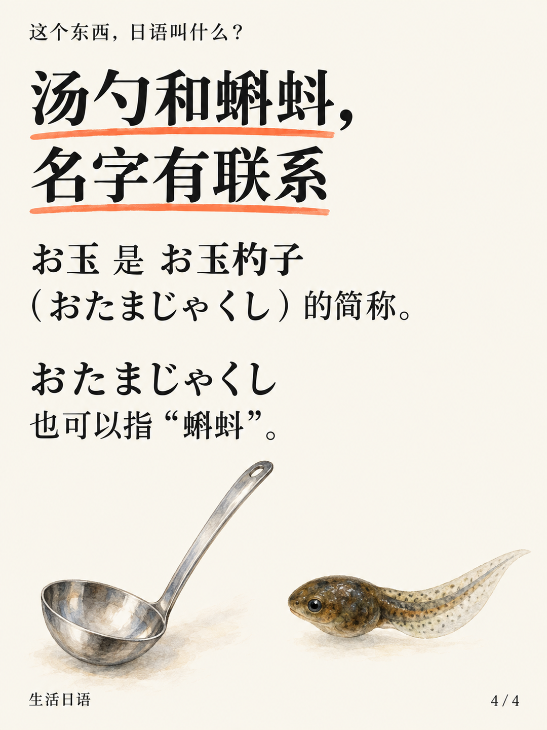汤勺的日语名，怎么还和蝌蚪有关？ · 多知道一点