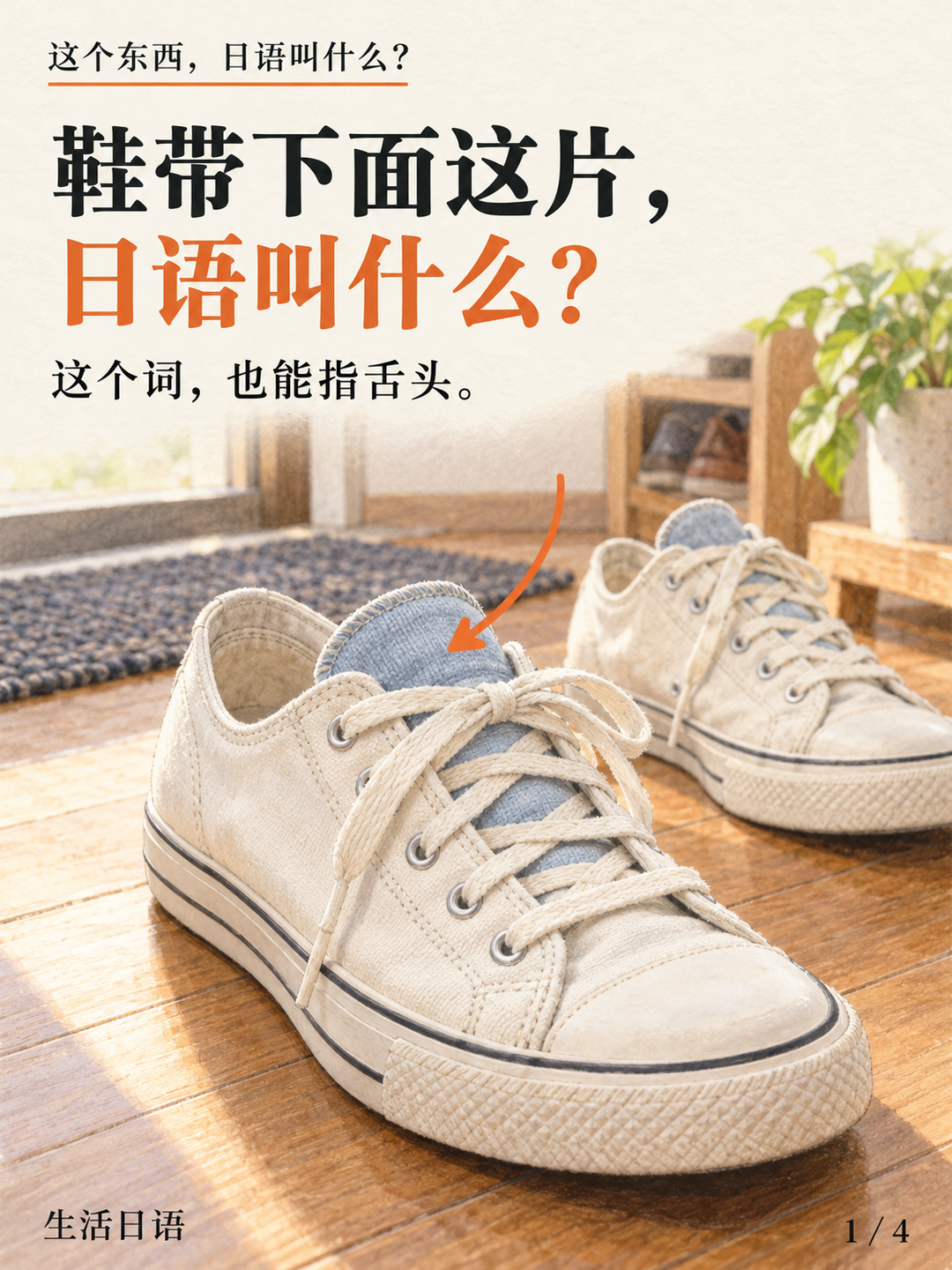 鞋带下面的鞋舌,日语叫什么? · 先认一认